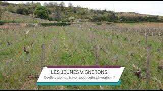 Vignerons : portrait de la nouvelle génération - Teranima TV