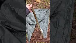 DIY Tent Crafting Made Easy #camping #hiking #outdoorskills #natureexploration