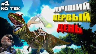 БЫСТРОЕ РАЗВИТИЕ  ПВП Сервере без ТЕКа | ARK Survival Evolved