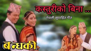 KASTURI KO BINA | BANDHAKI | NEPALI MOVIE SONG | NIRUTA SINGH | DILIP RAYAMAJHI