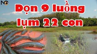 Hành trình săn cá lóc hugo tập 74