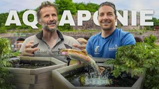 AUTONOMIE en POISSONS et LEGUMES avec L'AQUAPONIE