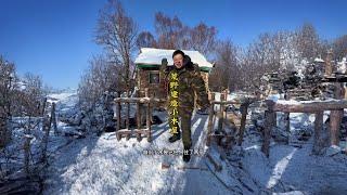 荒野里建造童话里的小木屋住了两宿太舒服了！今天收拾院子铺草坪。小木屋越来越温馨了！#我的乡村生活 #记录真实生活 #野外生存