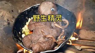 红烧野生精灵，我相信你一定没看过