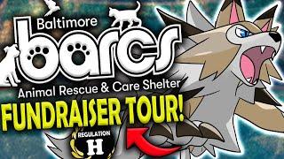 Fundraiser Reg H  Limitless Tour For BARCS! | Let's Help Some Animals!