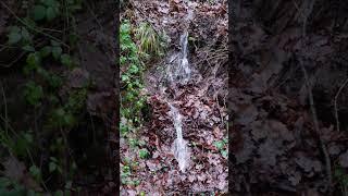 Mountain River #nature #germany #mountains #forestambiance #travel #forestserenity