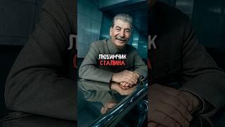 Кто был любимчиком Сталина #история #факты #прошлое #интересно #ссср #познавательно
