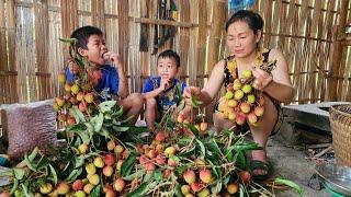 Full video 120 days of harvesting agricultural products for sale - DANG THI DU