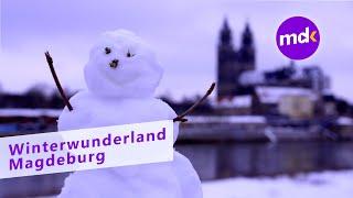 WINTERWUNDERLAND Magdeburg | Nachrichten Kompakt