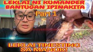 THAI LEKLAI TESTING SA MANOK : LEKLAI NI KUMANDER BANTUGAN PINAKITA : AGIMAT TESTING : NICK BANAYO