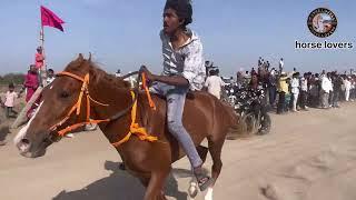 (masitiya) kamrudin baba ke urs pe hone vali horse race  chhote ghode ki race   15/04/2024