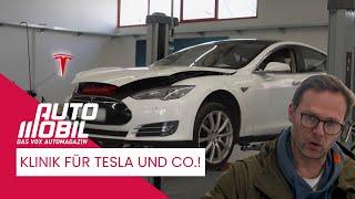 TESLA AND CO. - THIS IS HOW YOU GET FIT AGAIN!| auto mobil