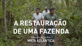 Histórias da Grande Reserva Mata Atlântica  | T1E10 - A restauração de uma fazenda