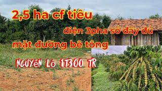 Bán 2,5 ha nhà điện 3 pha đầy đủ,kèm mặt đường bê tông giá nguyên lô 1t300tr lh 0366592989