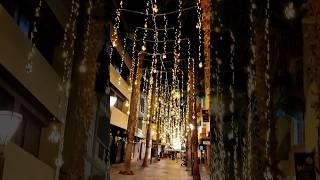  Torrevieja de noche en invierno / Torrevieja at night in winter 