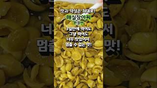 3일만에 그냥 먹어도 멈출 수 없는 맛!  매실장아찌 완결판!#매실장아찌담그는법
