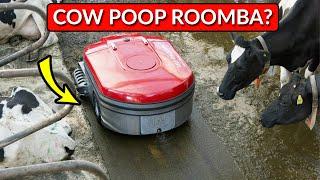 A Cow Poop Roomba Vacuum?