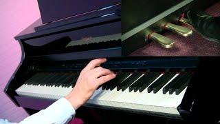 MusicRadar Basics: digital piano key action and pedals explained