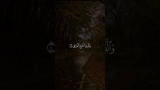 سورة الأعلى | الشيخ عبدالباسط عبدالصمد رحمه الله #قران_كريم #ارح_سمعك #عبدالباسط_عبدالصمد #اذكار