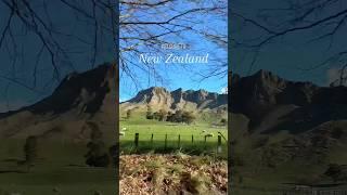 Manifesting New Zealand this 2024 ️ #pinoyinNZ #pureNZ #exploreNZ