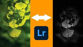 Lightroom Photo Editing || Nature Photo Editing || PL GRAPHICS||