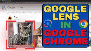 Google Lens in Chrome: How to Search Any Image Easily!