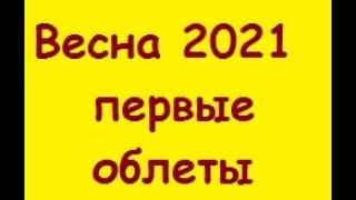 Весна 2021 первые облеты