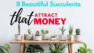 8 Beautiful Succulents that Attract Money