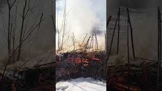 Первый наш забор валежник. Идея так себе. Будем делать новый! Красивый!