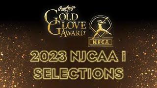 2023 NJCAA Division I Rawlings Gold Glove Award, presented by the NFCA