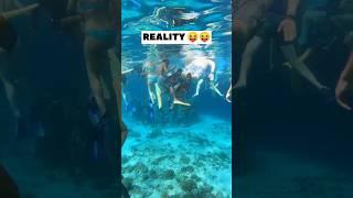 Instagram Vs Reality  #explore #travel #nature #socialmedia #vs #reality #adventure