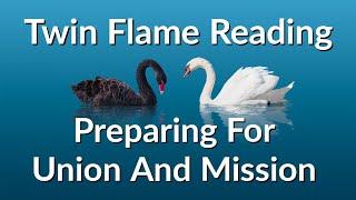 Twin Flames - DM And DF Are Being Prepared For Union And Mission 