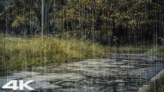 Sleep Quickly with Heavy Rain at Rainy Day - Healing Sounds of Rain ASMR