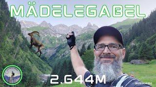 Mädelegabel 2.644m | Traumhafte Tour auf den vierthöchsten Berg der Allgäuer Alpen | Heilbronner Weg