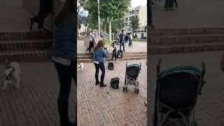 Kid singing in Usaquen