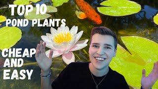 *TOP 10* Pond Plants YOU NEED TO HAVE!