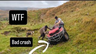 This was not a good idea #tepari  #farm #farming #sheep #lambs #irish #ireland #cows #tractors #dogs