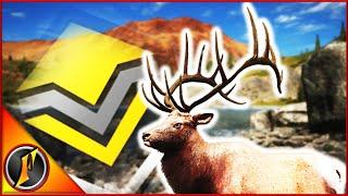 Diamond Rocky Mountain Elk with the Recurve?!? + More Highlights!