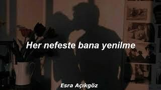 Anıl Emre Daldal - S. Lyrics