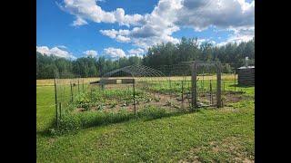 THE FARMHOUSE. Cattle Shelter. Weeding the garden. Cleaning the workshop. Rain. Fruit trees. Mowing.