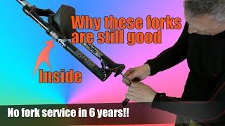 Bike maintenance tips #6 | Fatbike Bluto Fork Service