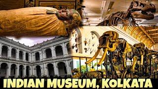 Indian Museum Kolkata|  India’s Largest and Oldest Museum|Best Museum of India|Ancient animal