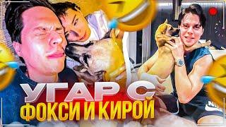 ФРАМЕ ТАМЕР СТАЛ СОБАЧНИКОМ | КУДА ПРОПАЛ ФРАМЕ ТАМЕР?