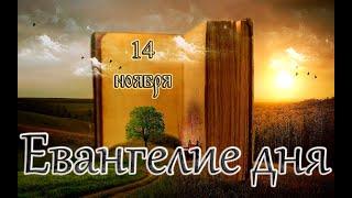 Апостол, Евангелие и Святые дня. Седмица 21-я по Пятидесятнице. (14.11.24)