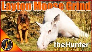 Moving Our Moose Grind to Layton Lakes! | theHunter Call of the Wild