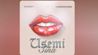 Nandy & Harmonize - Usemi Sina (Official Audio)