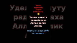 сура Курси #имам #пост #аллах #коран #ислам #имам #иман #намаз #shorts #memes #music #keşfet