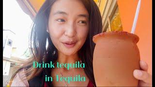 Drinking tequila in Tequila town，how is it feel? 探访墨西哥龙舌兰小镇，正宗的龙舌兰酒好喝吗？