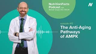 Podcast: The Anti-Aging Pathways of AMPK