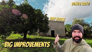 Bonus Video - The Off Grid homestead adventure continues - 4 CATS GONE!